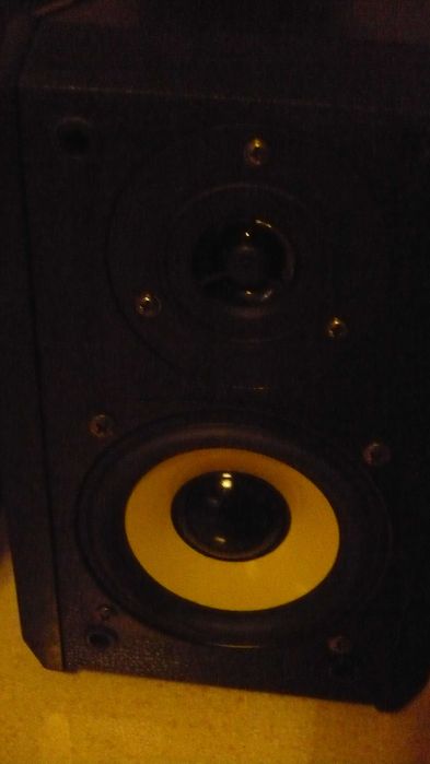 Colunas Dynavox TG 100B