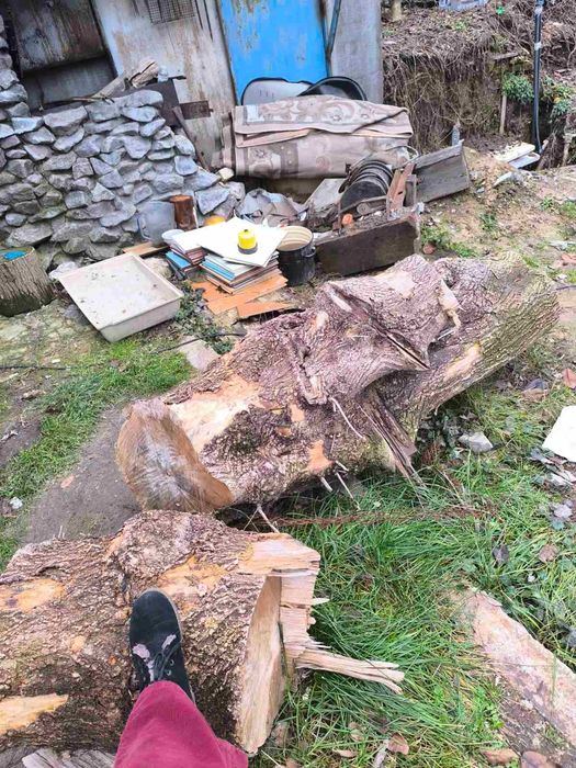 Деревина для обробки, дрова