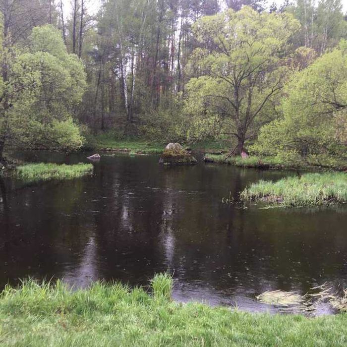 Продаю будинок поблизу річки Уж (вул.Грушевського)