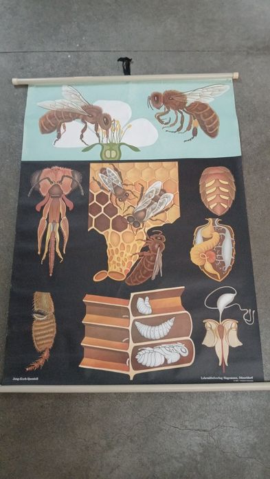 Mapa antigo em bom estado