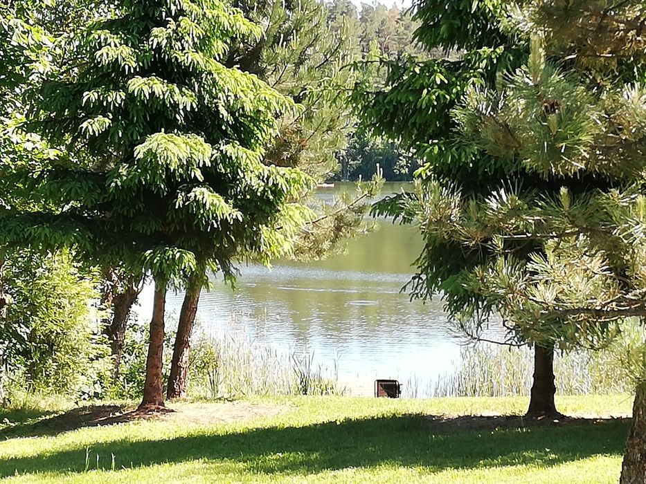 Domek z linią brzegową na mazurach Mazury Domki letniskowe Noclegi