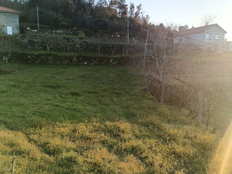 Alojamento local 6000 M2 com projeto resende