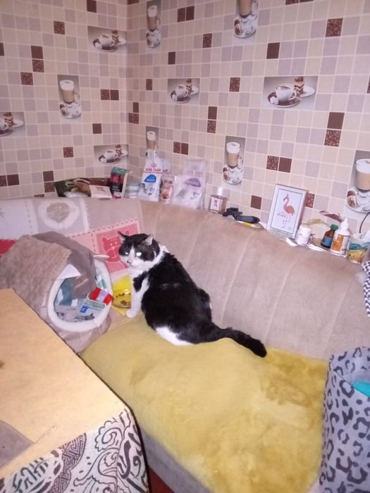 Квартира одно кімнатна військове містечко 12