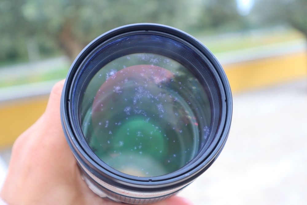 Canon EF 70-200mm f/2.8 L USM
