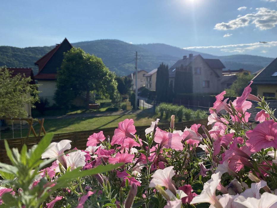 Sylwester w górach, apartament z balkonem