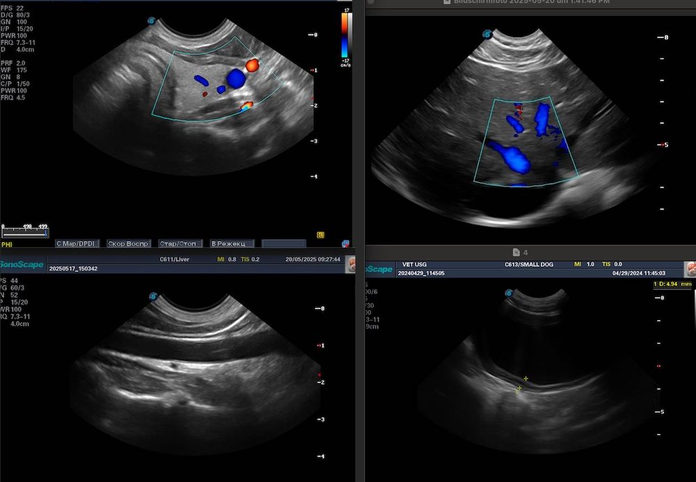 Датчик УЗИ/ УЗД SonoScape C611/ Мікро/ також 3C-A, VC6-2, 6V3, L752