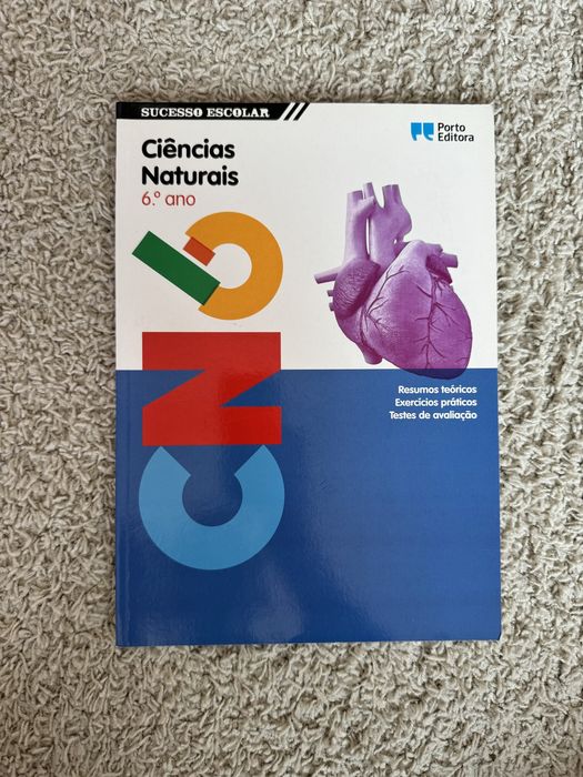 Livros Fichas / Caderno Atividades 6.ºano