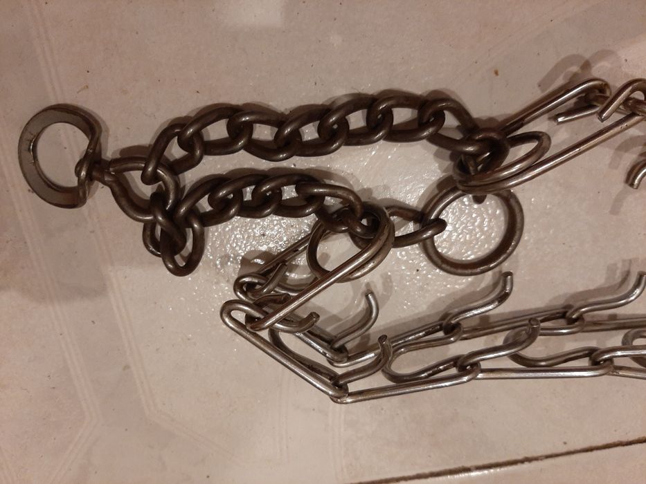 Ошейник строгий для собаки