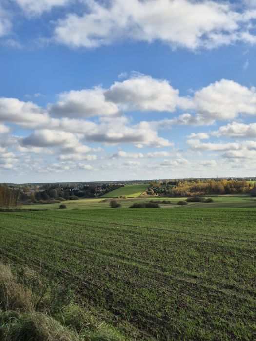 Działka budowlana - Widok 5