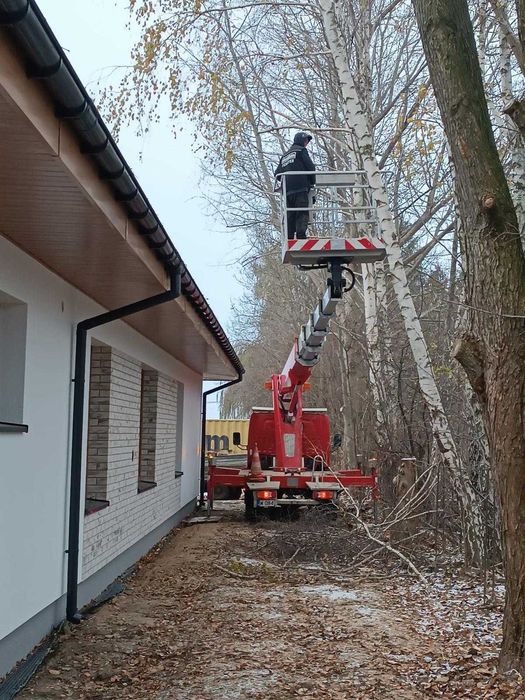 Wycinka drzew i frezowanie pni Płochocin, Błonie, Ożarów Mazowiecki