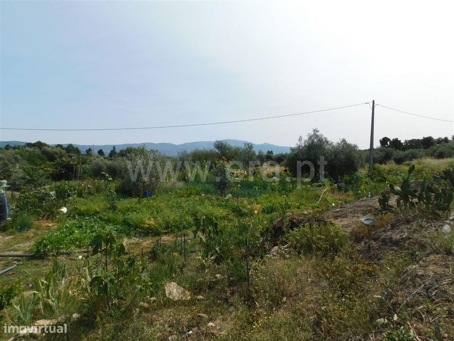Terreno Rústico / Fundão, Pêro Viseu