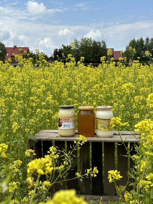 Miód, sprzedaz hurtowa i detaliczna