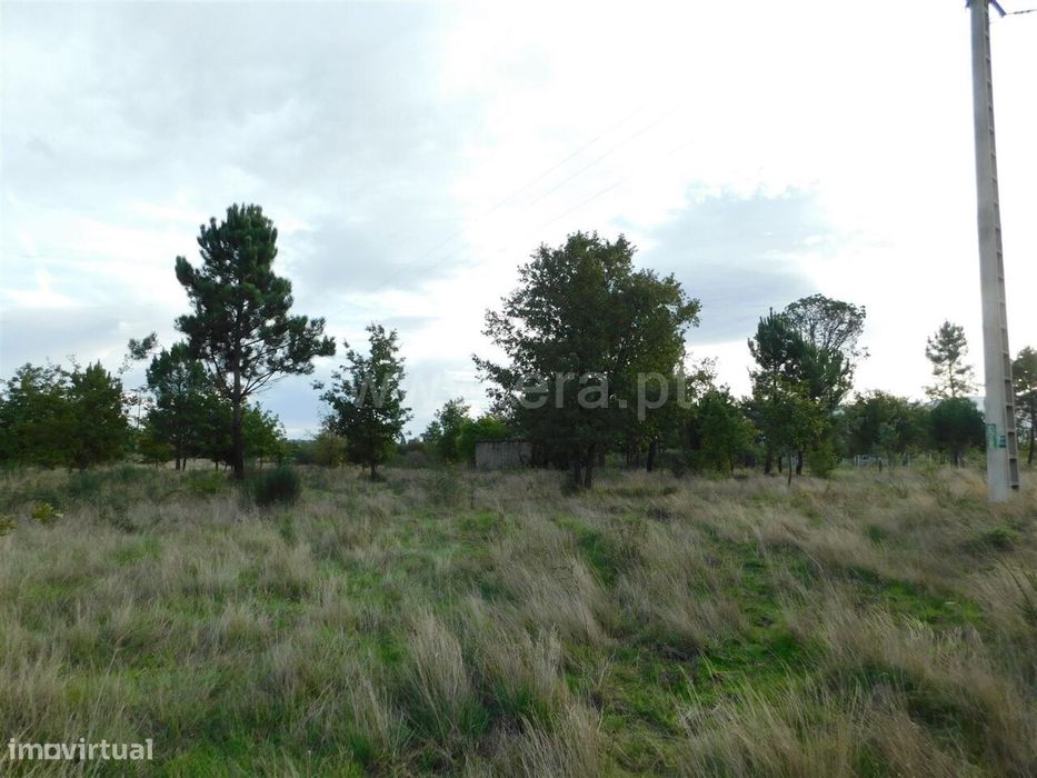 Terreno / Seia, Tourais e Lajes — Santa Comba, Guarda