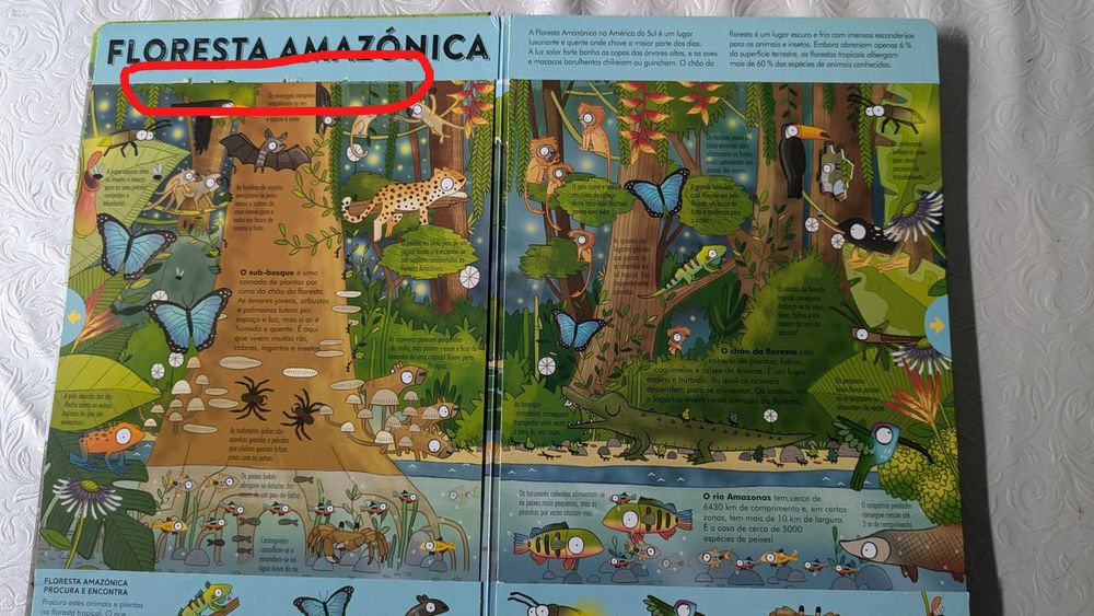 livro PUXA E DESCOBRE: explora cenários panorâmicos gigantes
BOOKSMILE