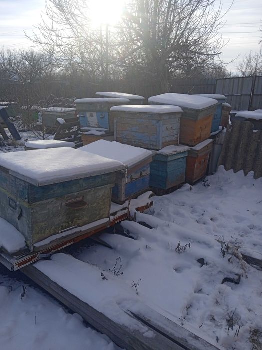 Продам улья для пчел лежаки