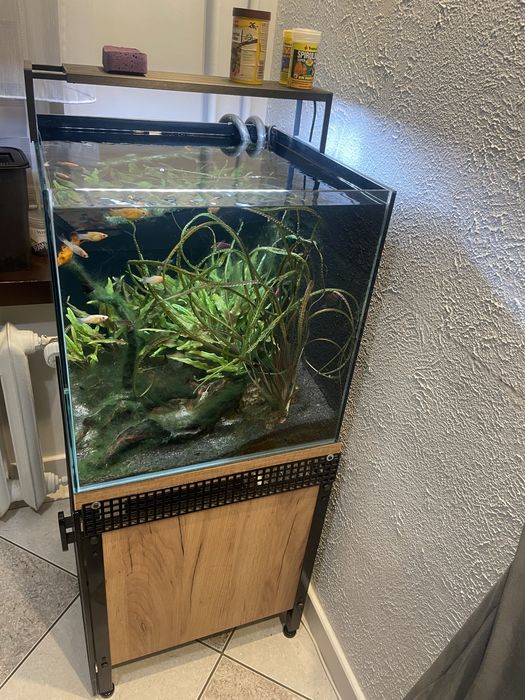 Zestaw akwarystyczny - kostka 50x50x50 125 l