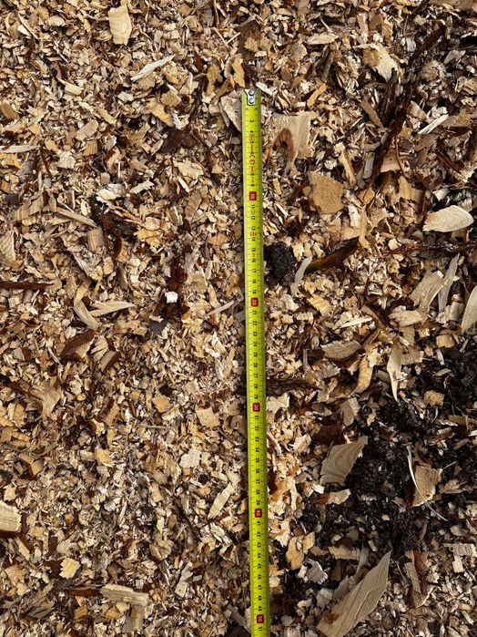 Trocina zrebka Otaczarka sosnowa.Ladunki całopojazdowe.