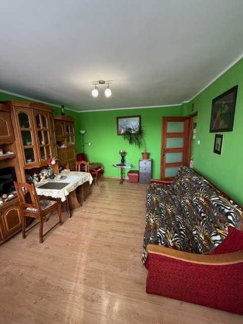 Kawalerka idealna dla seniora lub pod wynajem bez prowizji