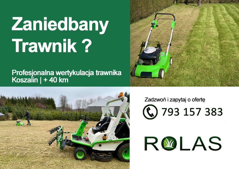 WERTYKULACJA TRAWNIKA - Zaniedbany trawnik po zimie? Naprawiny to