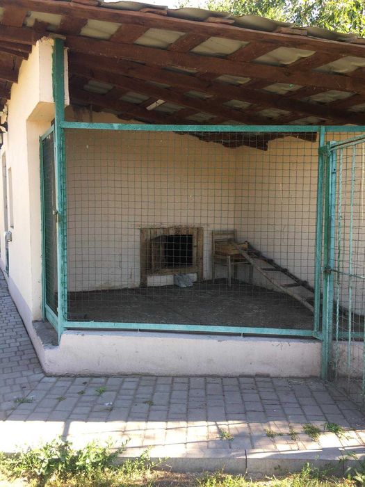 Великий будинок з сучасним ремонтом в Гребінках