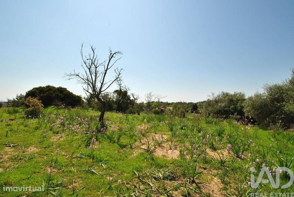Terreno Agrícola em Paderne