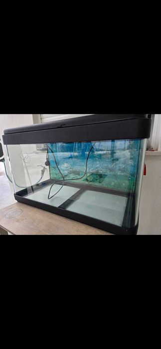 Aquario vidro redondo novo nunca utilizado