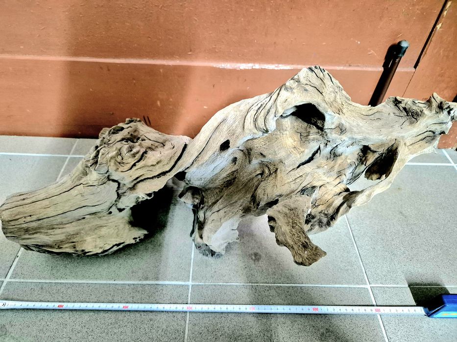 Korzeń akwarystyczny . Duży pień do akwarium