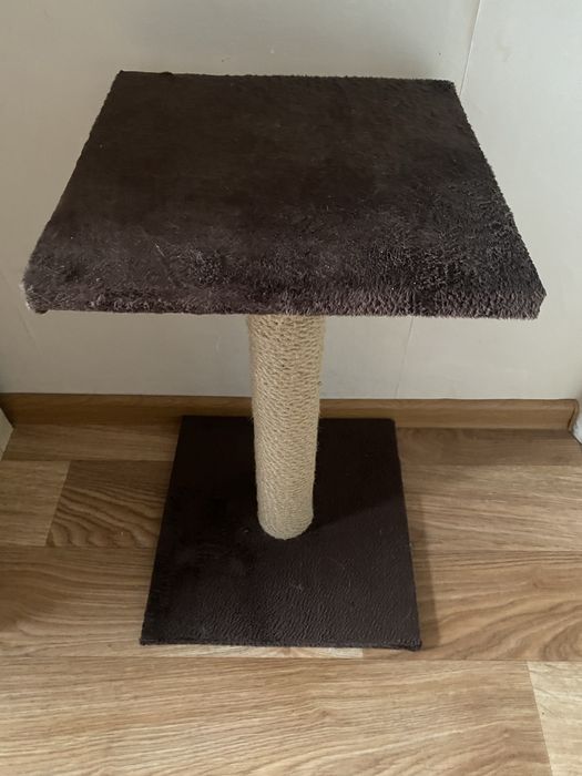 когдеточка для котов