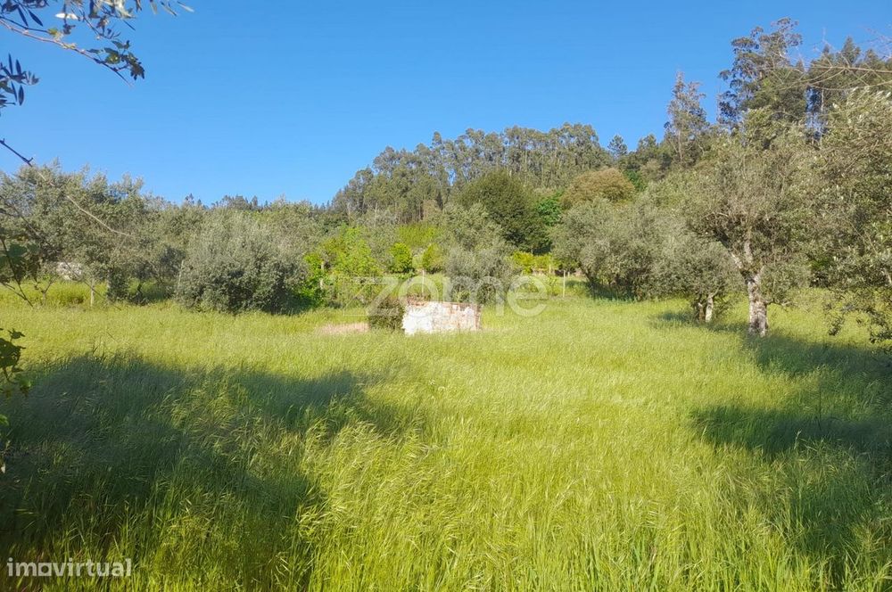 terreno rustico