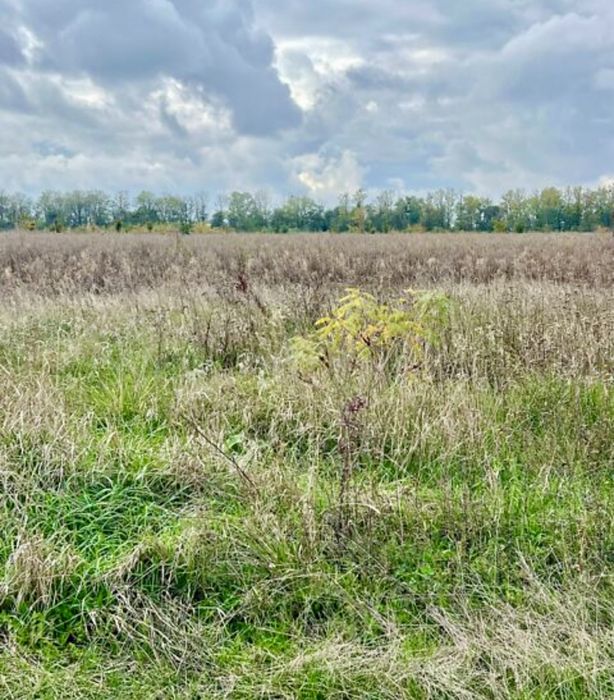 Продаж земельної ділянки в Бохониках!!!