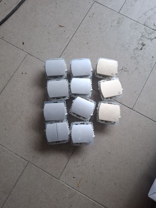 Karlik trend gniazdka