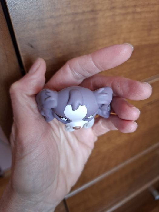 Lps pet shop piesek spaniel