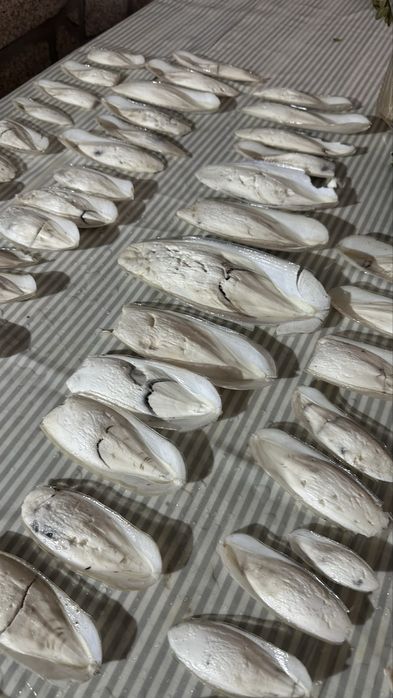 Osso choco calcio natural para aves