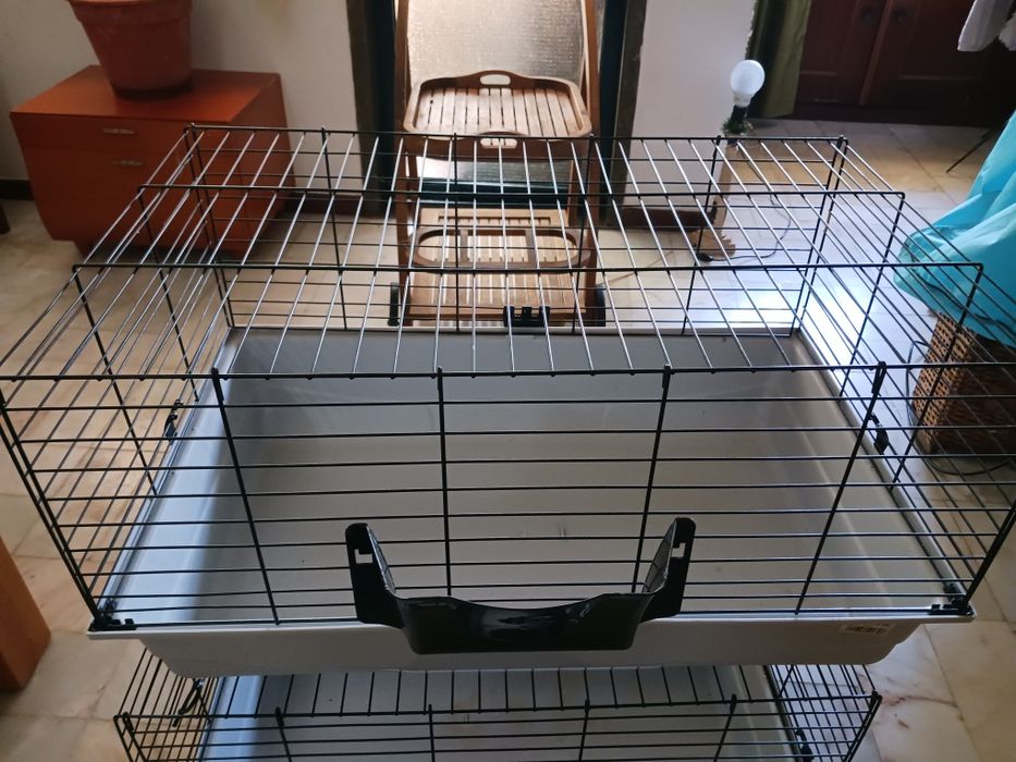 Gaiola coelho/roedor