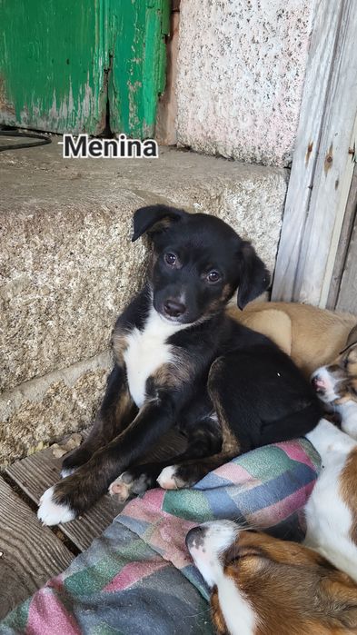 Bebes com 3 meses
