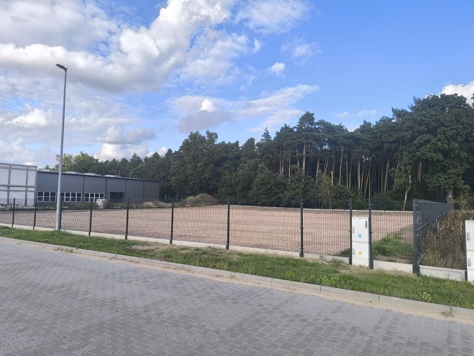 Zdjęcie 5