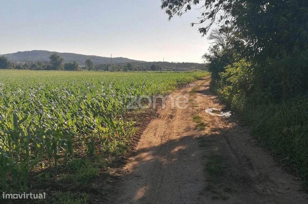 Terreno agrícola com 3.600 M2 em Fradelos Famalicão — Bougado (São Martinho E Santiago), Porto