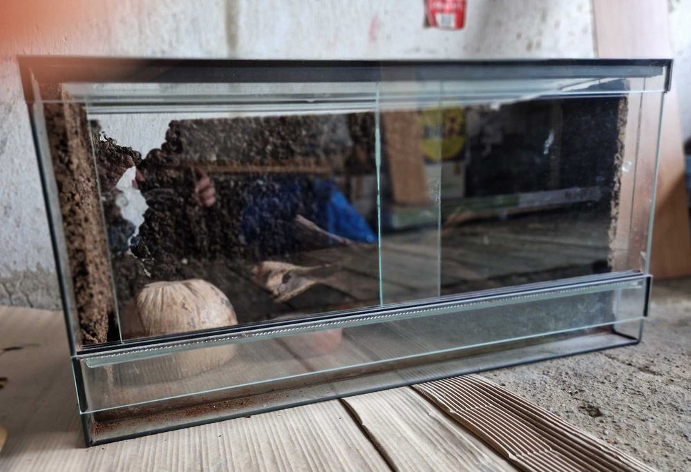 Sprzedam terrarium