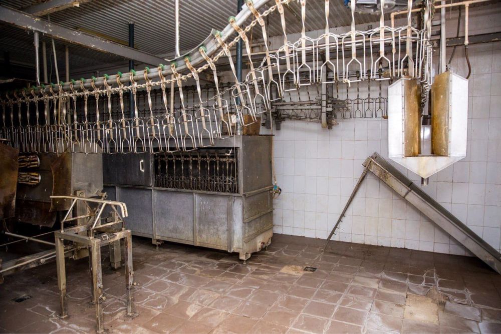 Комерційна нерухомість за адресою вул. Капеланська (площа 40000 м²) - Atlanta.ua - фото 21