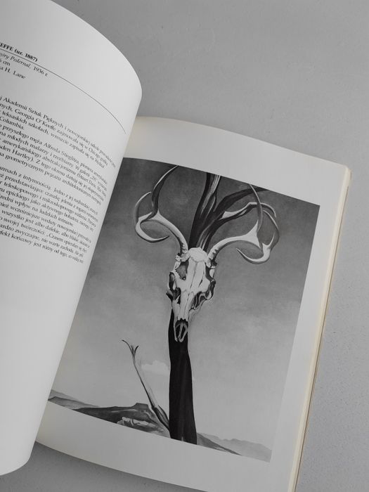 Książka Dwieście lat malarstwa amerykańskiego prl 1976