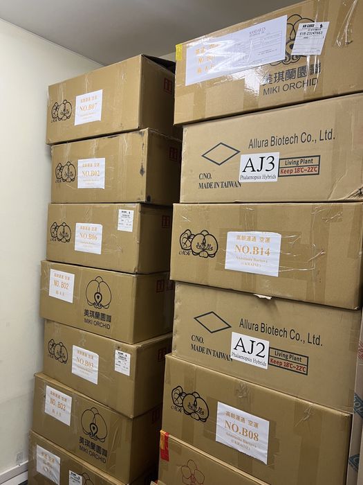 Коробки картон  33х52х73