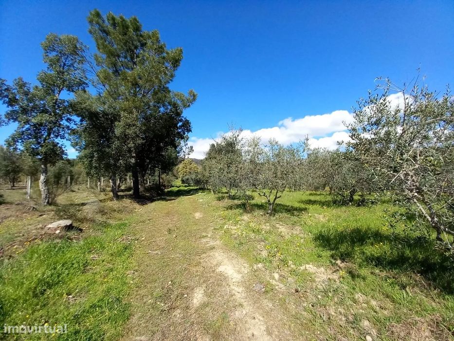 Quinta com 24750m2 Louriçal do campo