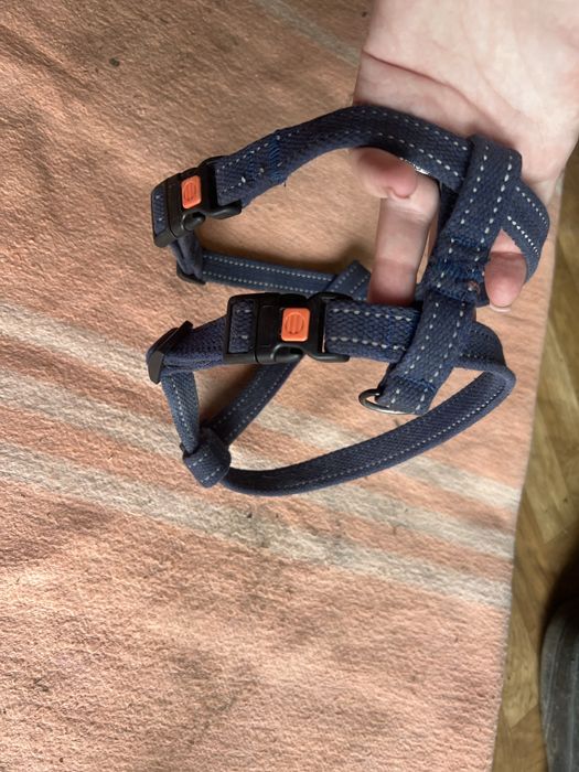 Шлея для собак BronzeDog Cotton Н-подібна світловідбивна бавовняна брезентова синя.