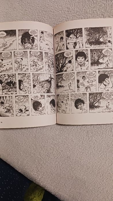 Livro arte de manara