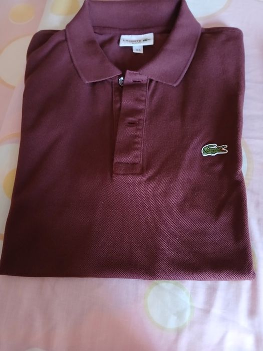 Polo de homem Lacoste