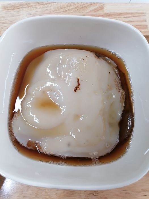 Kombucha - Scoby
