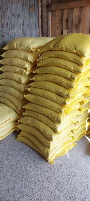 Kukurydza sucha, cała, kruszona, mielona