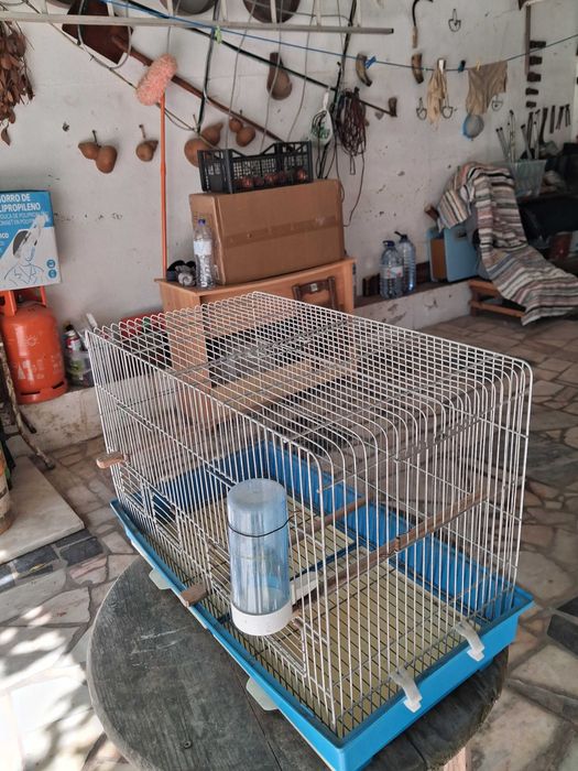 Gaiolas para canários