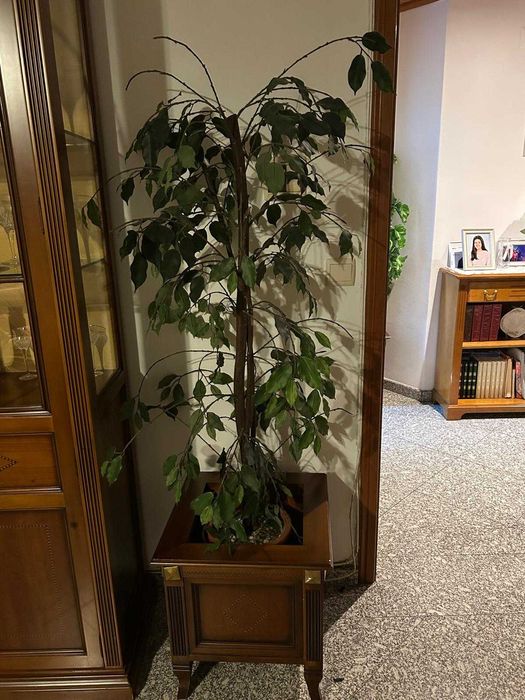 Carrinho de chá + 2 floreiras