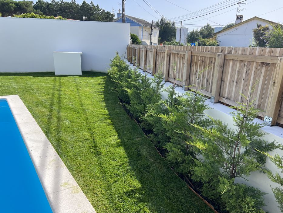 Relva natural em tapete